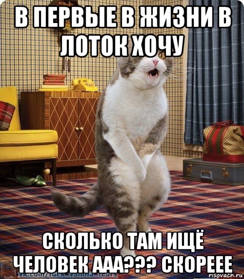 Жить без яиц. Мемы с котами. Кастрированный кот ПРМКЛ. Мемы про кастрацию кота.