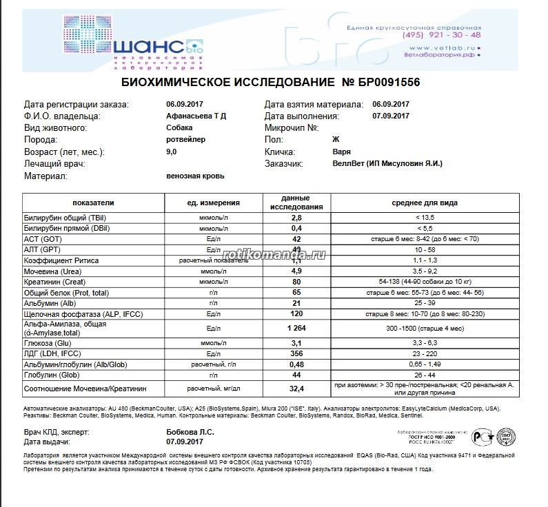 Что показывает щелочная фосфатаза в биохимическом. Щелочная фосфатаза амилаза. Альфа амилаза норма. Амилаза и щелочная фосфатаза норма. Альфа-амилаза общая норма.