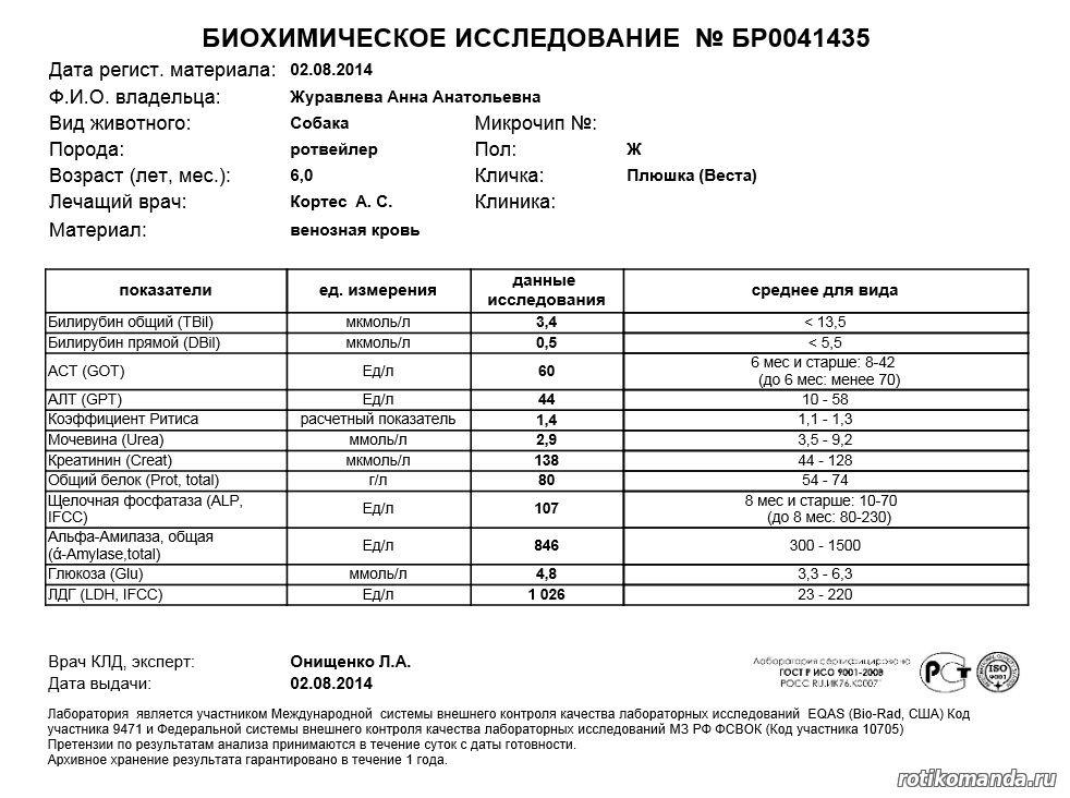 Лдг в биохимическом анализе крови что это