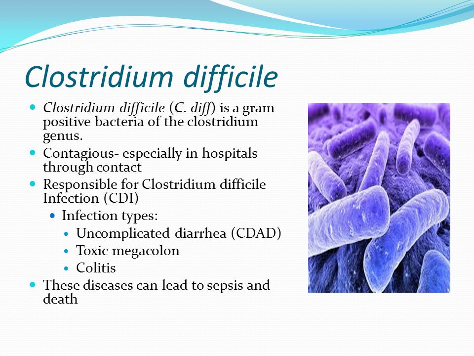 Токсин cl difficile. Клостридия диффициле Clostridium. Клостридиум Петрификус. Клостридии нормобиота. Клостридии аэробы.
