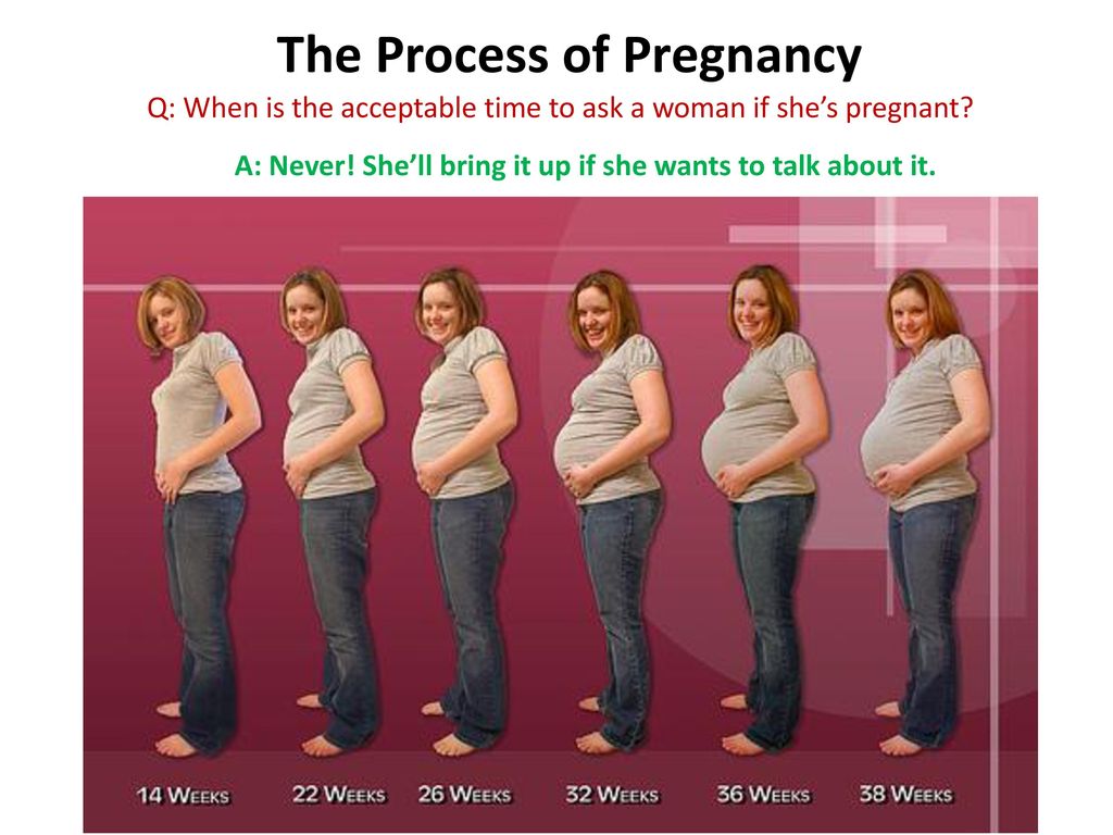6 й месяц. Месяцы беременности. Живот по неделям беременности. Размер живота по месяцам. Размер живота по месяцам беременности.