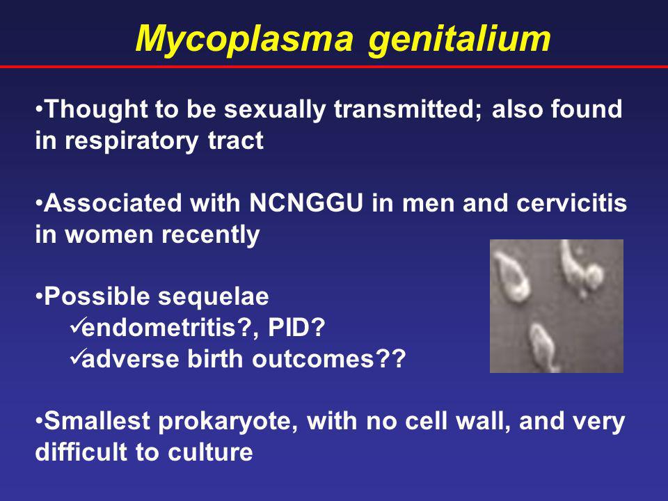 Днк mycoplasma genitalium. Микоплазмы гениталиум. Mycoplasma genitalium (микоплазма гениталиум. Микоплазма гениталиум Моксифлоксацин.