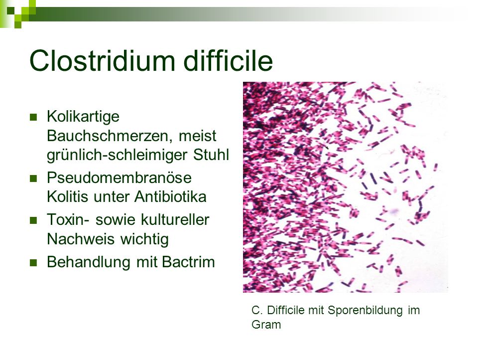 Кал на токсины клостридии диффициле. Клостридиум difficile. Clostridium difficile микробиология. Токсины а и в Clostridium difficile.