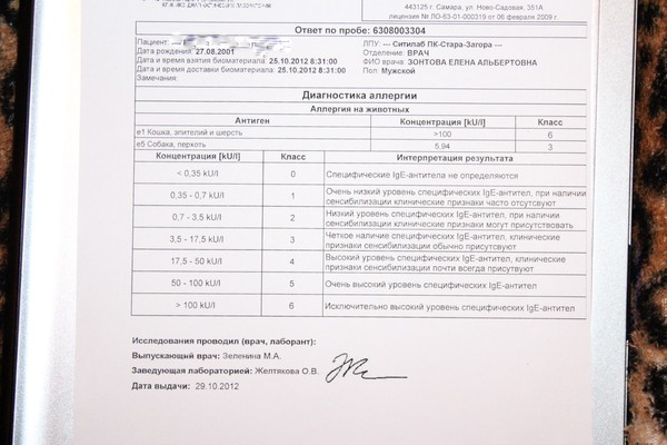 Сдать анализы на аллергены. Расшифровка анализа на аллергены у детей на собаку. Анализ на аллергию на собак. Анализ на аллергены у собак. Анализ на аллергию у ребенка на собаку.