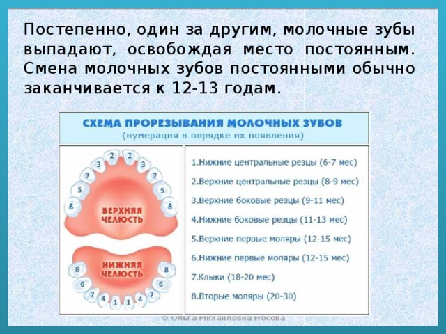 Зубы лезут не по схеме почему у ребенка