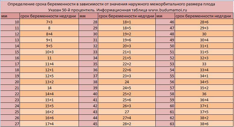 Сколько весит ребенок в 22 недели беременности фото плода как выглядит фото