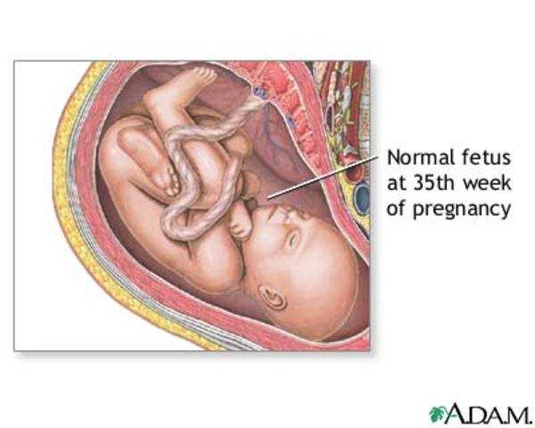 39 недель активно шевелится. Ребёнок на 39 неделе беременности. Малыш на 37 неделе беременности. Роды на 37 неделе беременности.