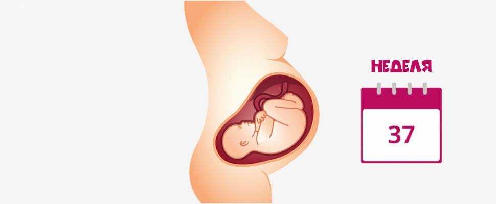 34 беременности что происходит с малышом