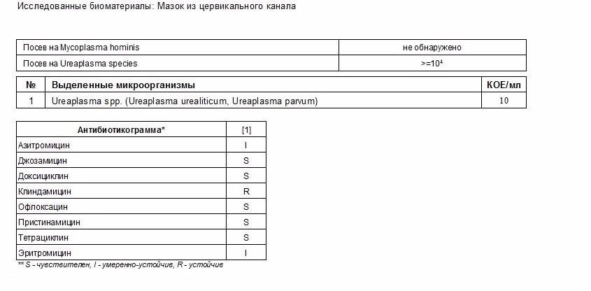 Ureaplasma 10 4