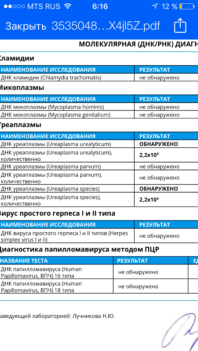 Ureaplasma 10