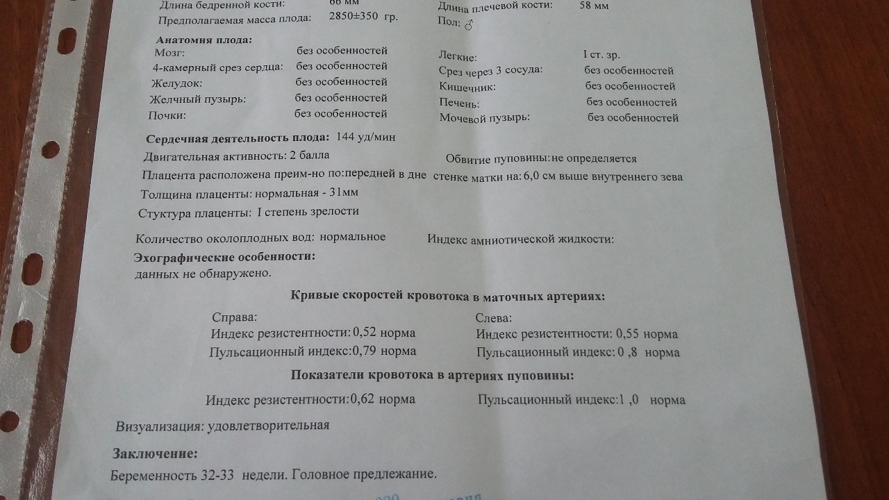 Длина бедренной. Нормы по УЗИ 33 недели. УЗИ показатели плода на 33 недели. УЗИ 33 недели беременности норма. УЗИ на 33 неделе беременности показатели.