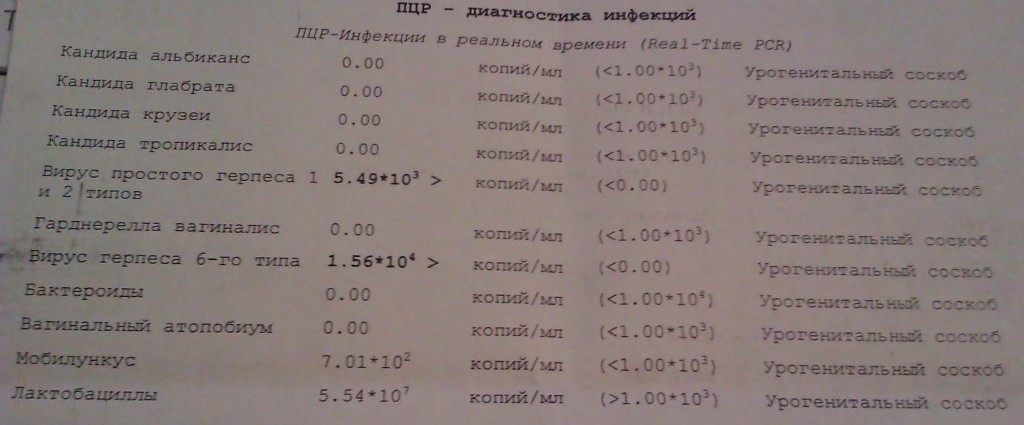 12 инфекций. ПЦР на инфекции. ПЦР список инфекций. Анализы ПЦР на 12 инфекций расшифровка анализов. Расшифровка анализа ПЦР 12.