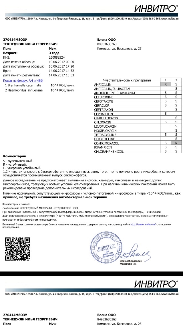 Инвитро сызрань прайс. Форма инвитро. Инвитро расшифровка. Анализ на условно патогенную флору. Посев кала на патогенную флору инвитро.