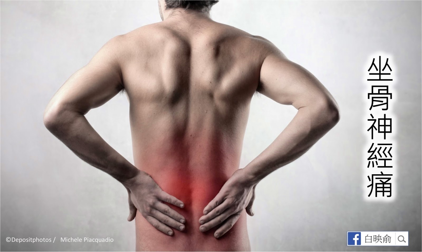 Поясница где. Поясница. Воспалительная боль в спине. Спина человека. Картинка спины человека.