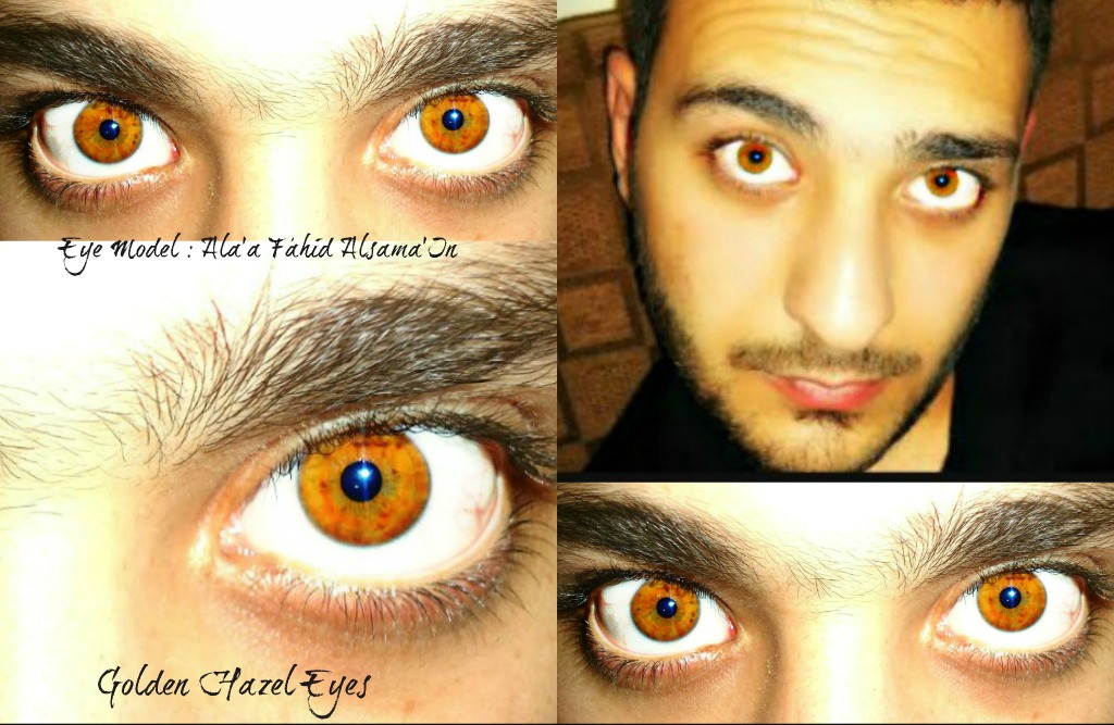 Глаза человека меняют цвет. Изменение цвета глаз. Цвета глаз у человека. Цвет глаз хамелеон. Превращение цвета глаз.