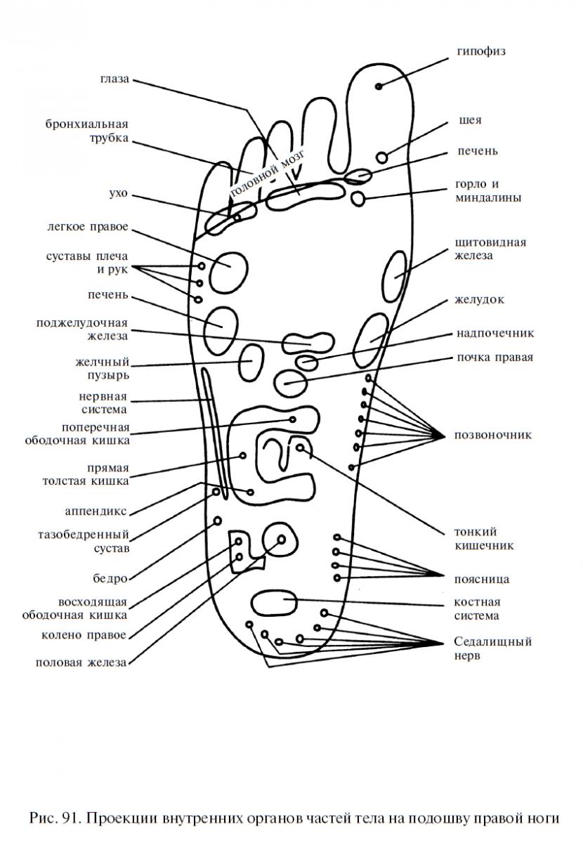 Акупунктурные точки на стопе человека схема расположения
