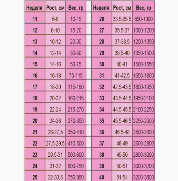 Вес по неделям беременности. Нормальный вес плода на 36 неделе беременности. Вес ребёнка на 26 неделе беременности норма. Вес плода по неделям беременности таблица. Весь ребенка по неделям.