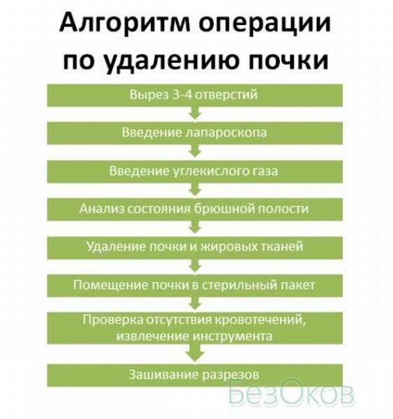 Удали почку. Диета после операции на почке. Питание после резекции почки. Диета при операции на почке. Что можно есть после операции резекции почки.