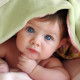 darina