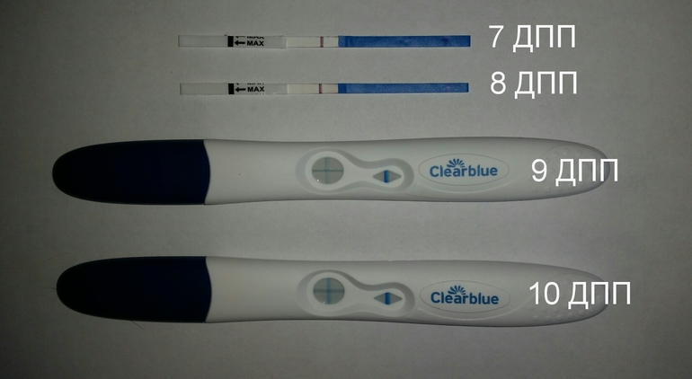 9 дпп тесты форум. 6 ДПП Clearblue. Тесты ДПП. 7 День подсадки эмбрионов. Тест на беременность на 10 ДПП.