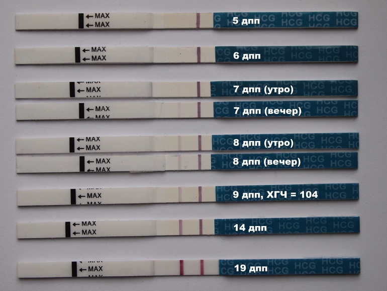 Криоперенос тянет низ живота. Тест на беременность 5 дней после подсадки. Тесты на беременность после переноса эмбрионов 5. Тест на беременность на 7 день после переноса эмбрионов. Тест на беременность после криопереноса 5.