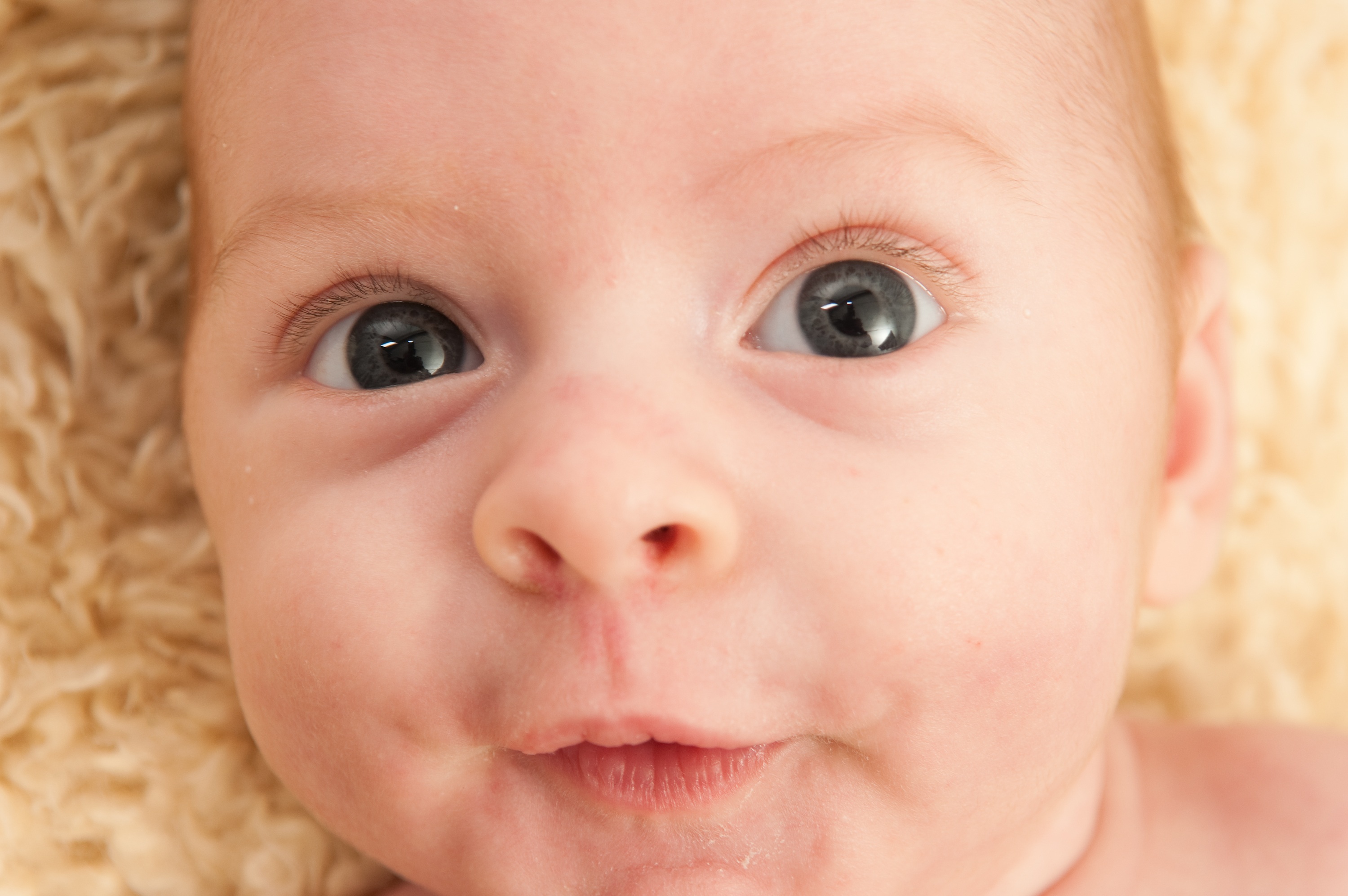 Белки глаз новорожденного. Глаза новорожденного. Ресницы новорожденного. Глаза у новорожденных детей. Глаз новорожденного анатомия.