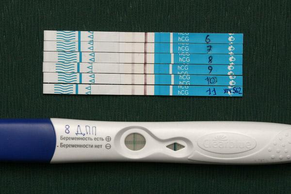 Удачный криоперенос форум. Тест полоска на 10 ДПП. Тесты не беременность после эко. 6 ДПП пятидневок тест. Тест на беременность после эко.