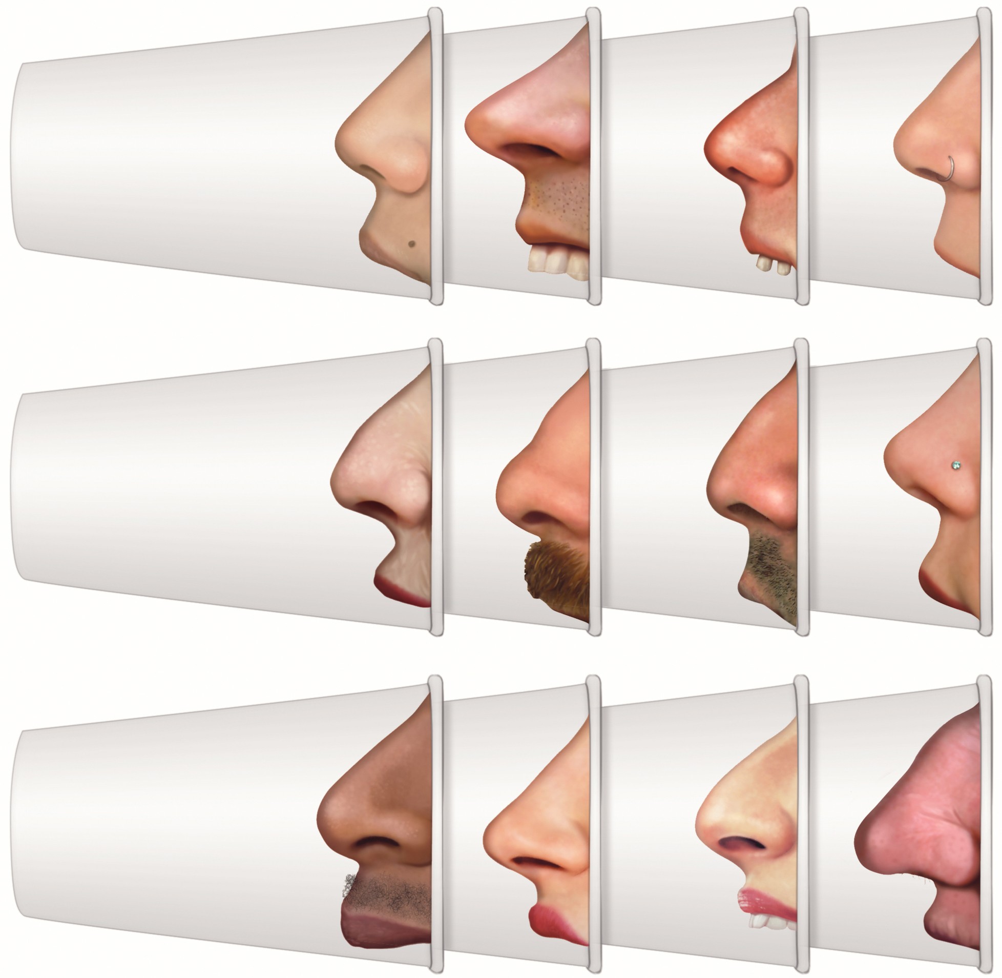 Виды носов. Формы носа. Различные формы носа. Формы Носов. Разные формы Носов.