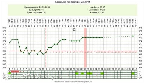 На какой неделе температура. 22 День цикла базальная температура 37.1. Базальная температура 36.9 на 26 день цикла. Базальная температура во второй фазе. 26 День цикла базальная температура 37.