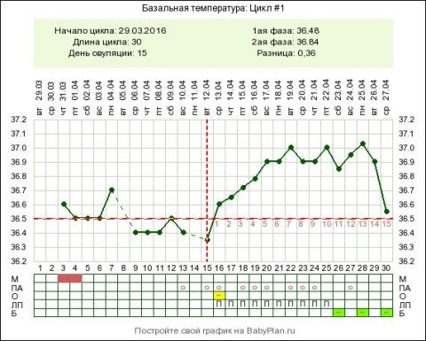 Базальная температура 37.5. Резкое падение базальной температуры. 16 ДЦ базальная температура 36,7. Базальная температура на 26 день цикла. Упала базальная температура после овуляции до 36,6.