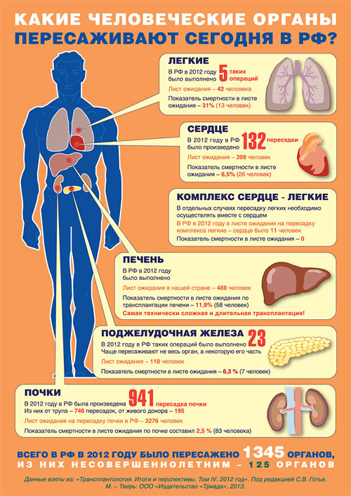 Количество органов в россии. Распределение донорских органов. Стоимость органов человека. Источники донорских органов. Чена человека по органам.