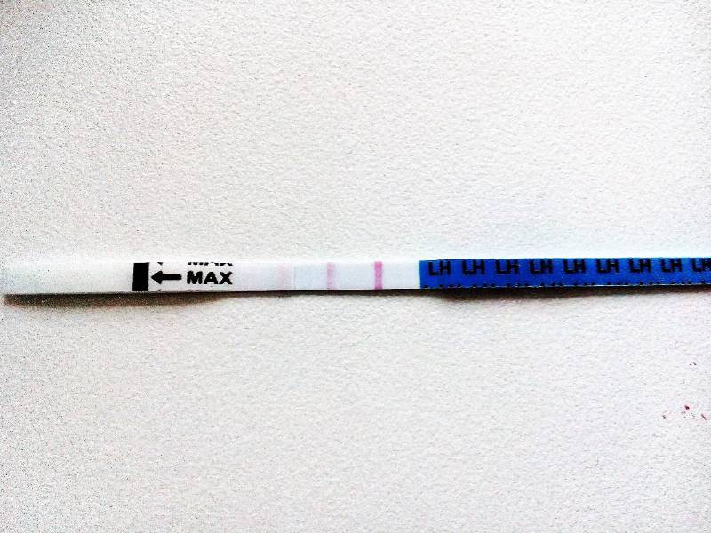 Россия тест на беременность. Тест-полоски на беременность на ранних сроках. Положительные тесты на беременность на ранних сроках. Положительный тест. Положительный результат теста на беременность.