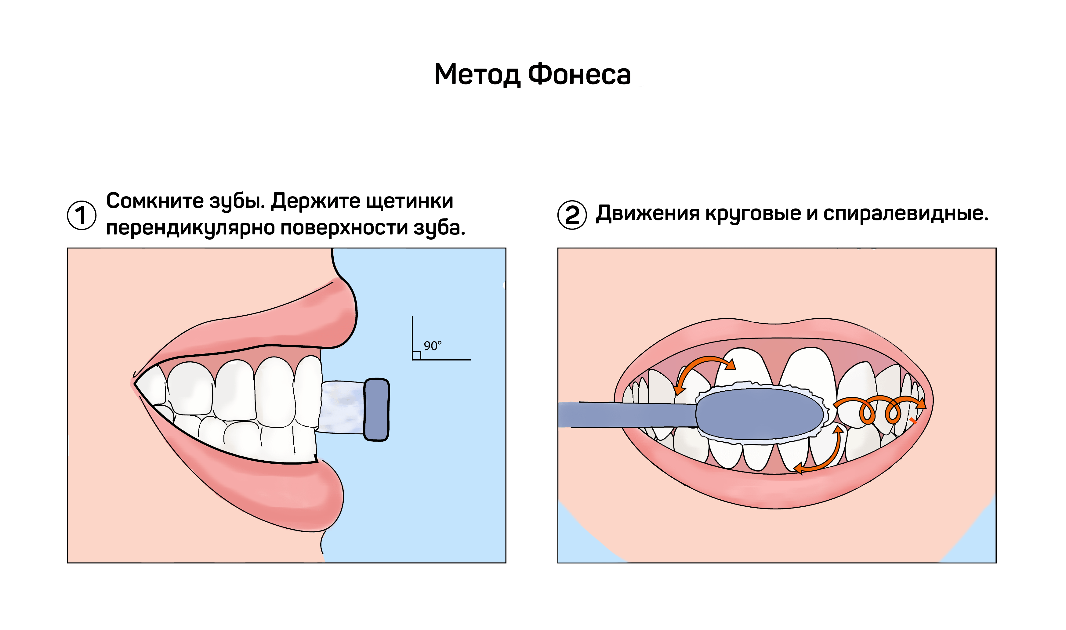 Стандартный метод чистки. Круговой метод чистки зубов fones. Методы чистки зубов Фонеса. Стандартный метод чистки зубов методика.