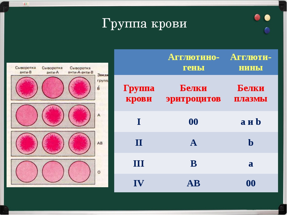 Резус 1 0. Группы крови 2 + 4 группа. Первая группа крови ab0. Rh 2 группа крови. Типы белков определяющих группу крови.