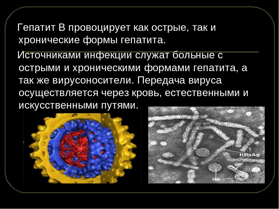 Противовирусные препараты вирусном гепатите. Гепатит b источник инфекции. Вирус гепатита c. Вирус гепатита а микробиология. Источник гепатита а.