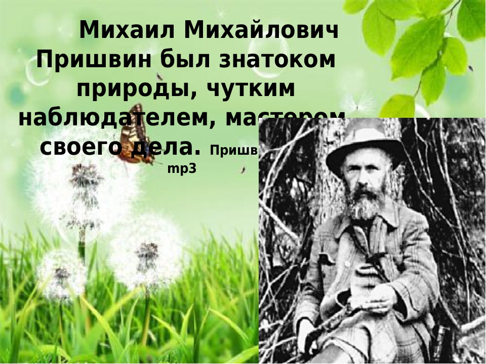 Пришвин белая радуга 4 класс. Пришвин Антон Павлович. Пришвин Знаток природы. Михаил пришвин в хорошем качестве карандашом. Михаил пришвин революция.