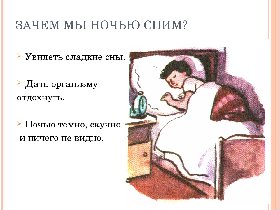 Жена спала читать. Зачем мы спим ночью. Причины не спать ночью. Почему мы должны спать ночью. Почему люди спят ночью.