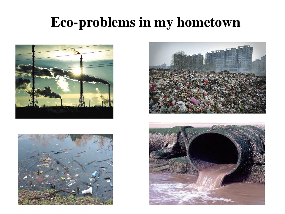 Environmental problems проект