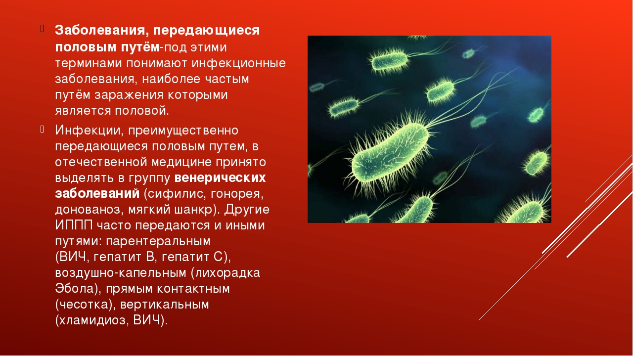 Инфекционные реферат. Инфекционные заболевания передаваемые половым путем ОБЖ 11 класс. Презентация заболевания передаваемые половым путём. Презентация на тему ЗППП.