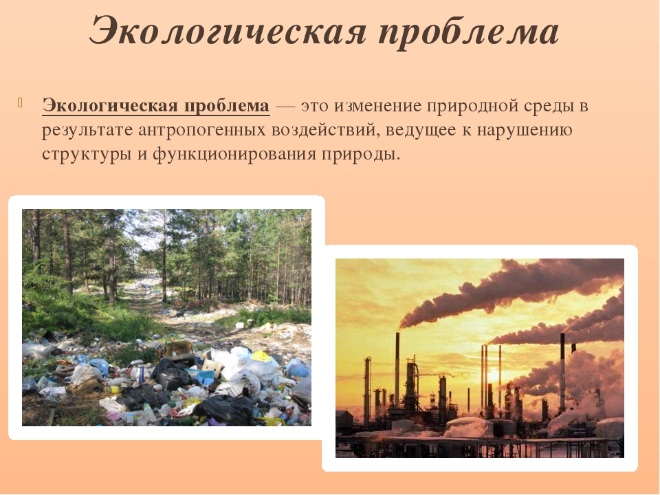 Экологические проблемы презентация 8 класс. Экологические проблемы. Проблемы экологических проблем. Экологические проблемы экологические проблемы. Экологическая ситуация это.