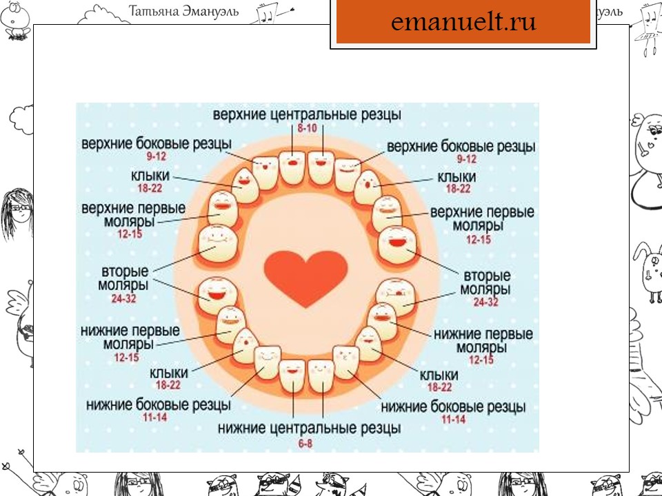 Рост зубову