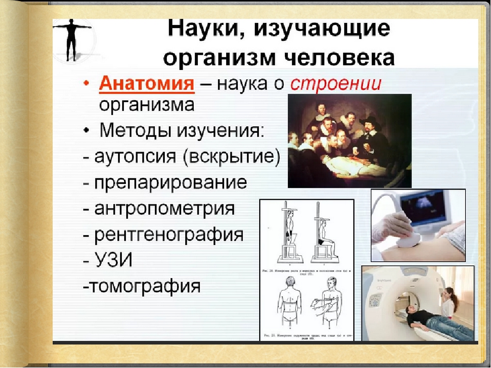 Наука о человеке 6 класс презентация. Методы изучающие человека. Методы изучения организма человека. Науки изучающие человека. Нуки изучающие челеовек.