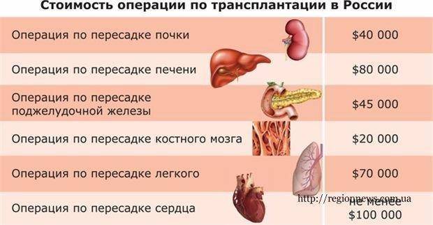 Стоимость органов картинки