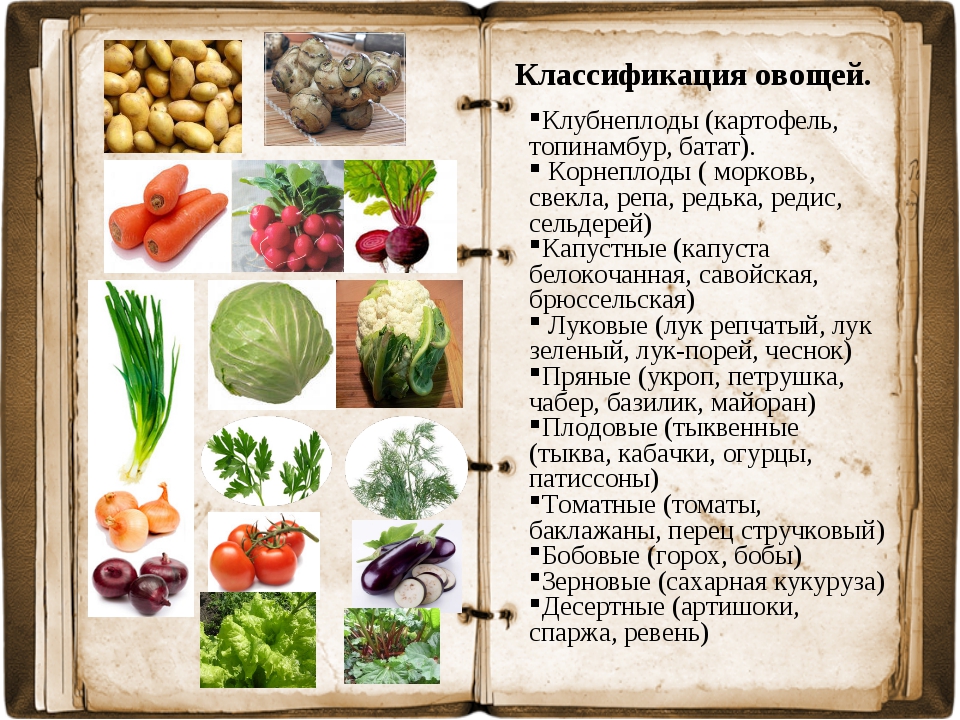 Какие овощи являются ягодами. Клубнеплоды список овощей. Клубнеплоды и корнеплоды список овощей. Классификация овощей клубнеплоды. Таблица корнеплоды и клубнеплоды.