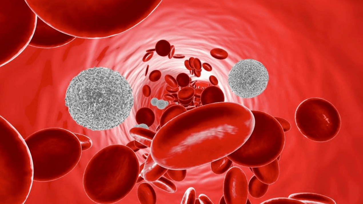 4 лейкоцитоз. Лейкоцит и эритроцит клетки. Эритроциты и лейкоциты в крови. Эритроциты лейкоциты тромбоциты. Лейкоциты это белые кровяные клетки.