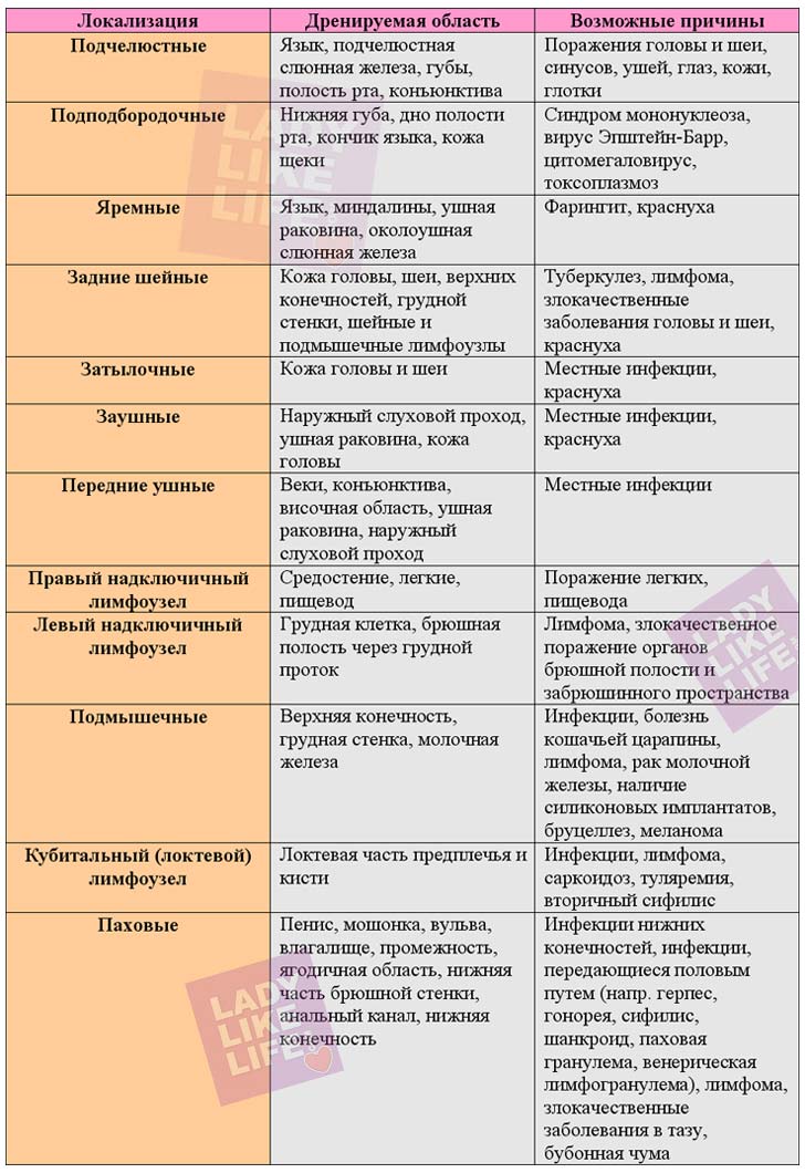 Почему воспаляются лимфоузлы в паху у женщин