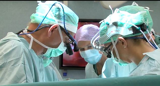 The team from the University of Gothenburg performed the transplant operation on two consecutive days