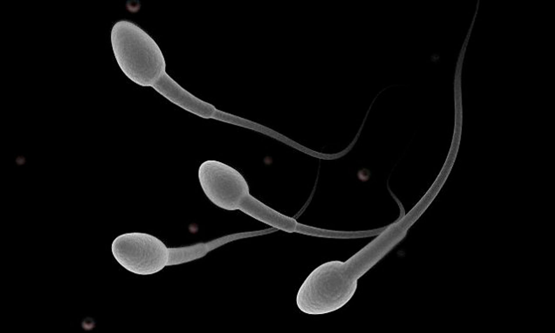 Sperma saugen