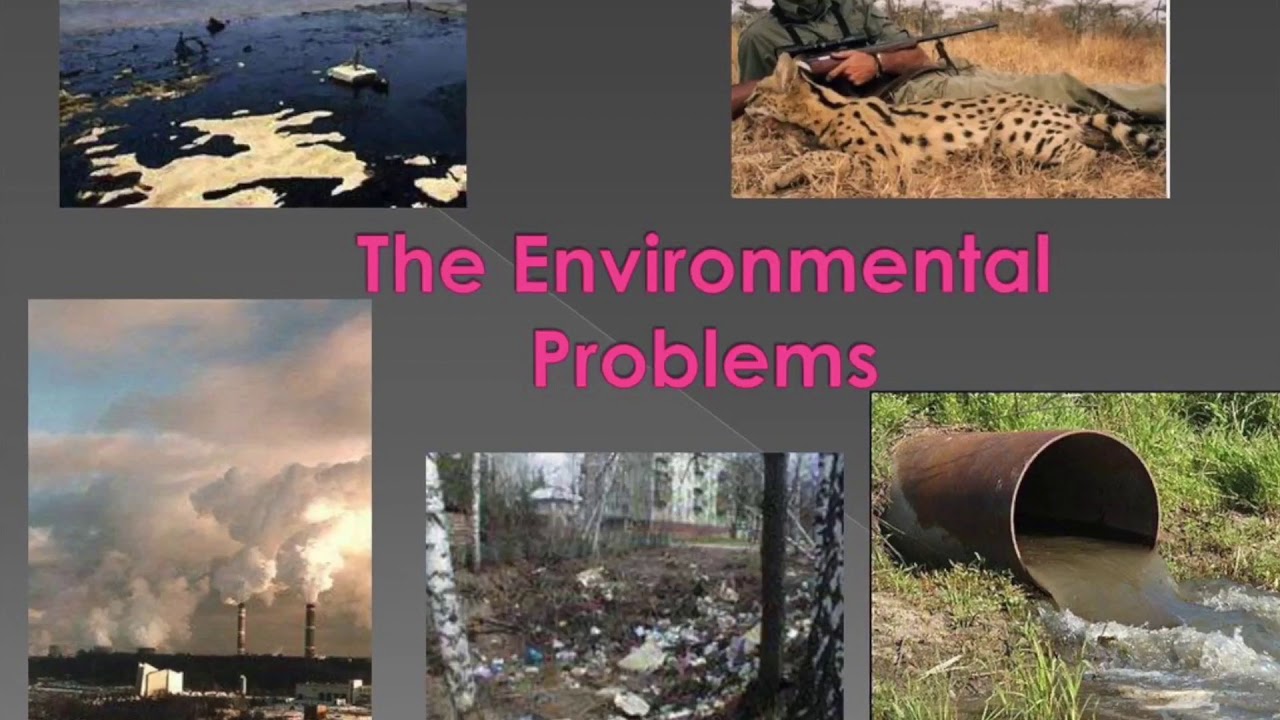 Экологические проблемы южной сибири. Экология загрязнение окружающей среды. Environmental problems. Экология на английском. Проблемы природы.