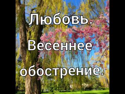 Почему весной обостряются болезни. Весеннее обострение. Картинки Весеннее обозрение. Началось Весеннее обострение.